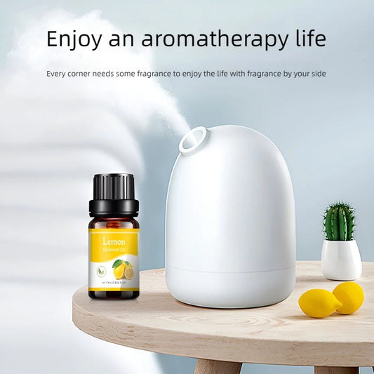 Huiles Essentielles pour Diffuseur — 17 Senteurs au Choix